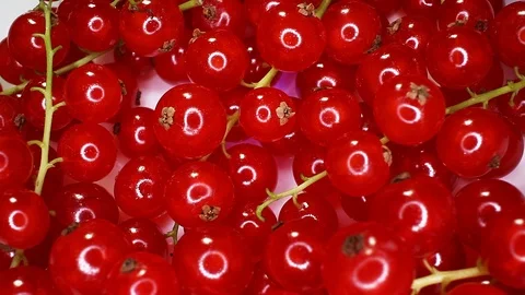 Currant currants fruit red berry berries closeup texture rotating video Stock Footage 113146571