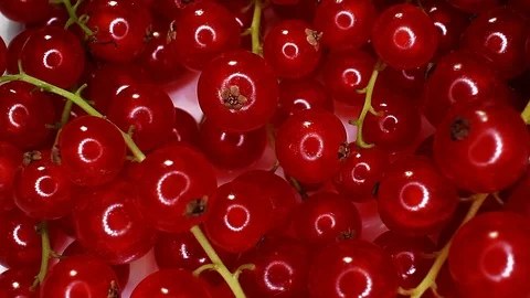 Currant currants fruit red berry berries closeup texture rotating video Stock Footage 113146797