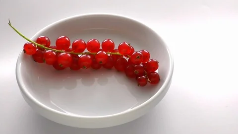 Currant in a dish closeup zoom in Stock Footage 106230334