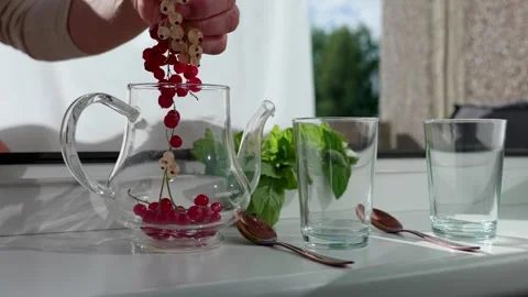 Currant drink preparation Video stock 321133273
