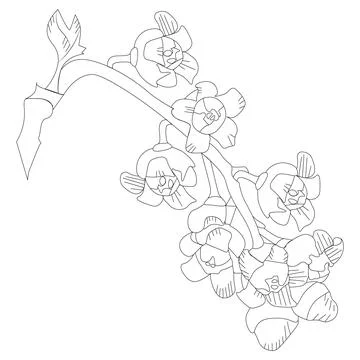 Currant flower Stock Illustration