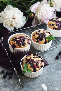 Currant mini pies. Stock Photos