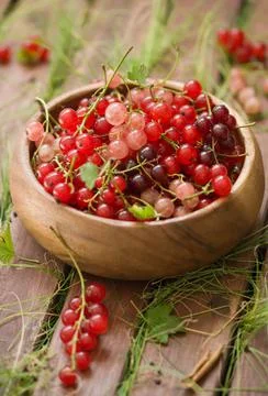 Currant Stock Photos