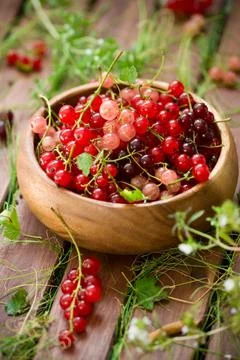 Currant Stock Photos