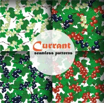 Currant seamless pattern collection vector set Stock Illustration