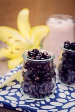 Currant smoothie Stock Photos