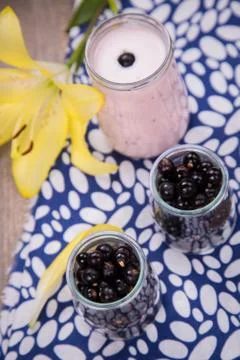 Currant smoothie Stock Photos