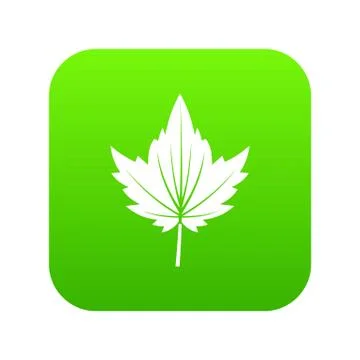 Currant tree leaf icon digital green Stock Illustration