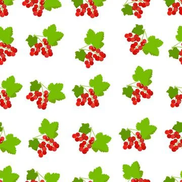 Currant twig Stock Illustration