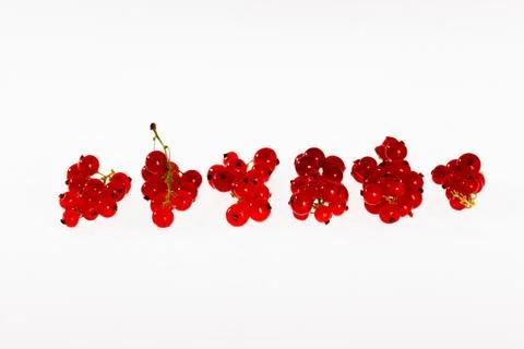 Currant on the white background Stock Photos