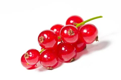 Currants isolated close up Foto stock