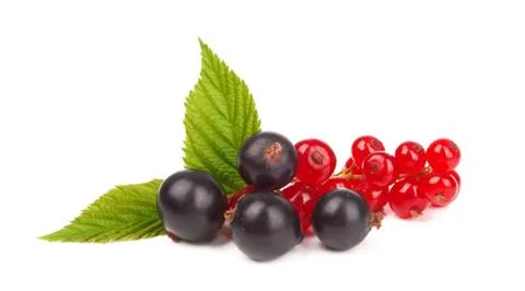 Currants Stock Photos