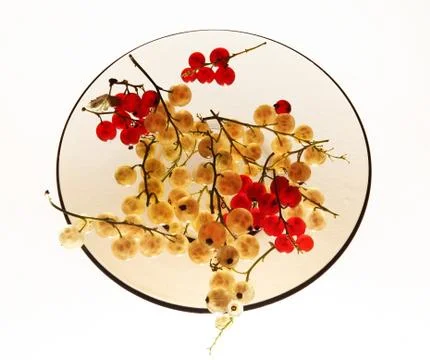 Currants on a plate Foto stock