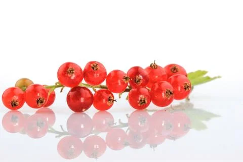 Currants on white Background 스톡 사진