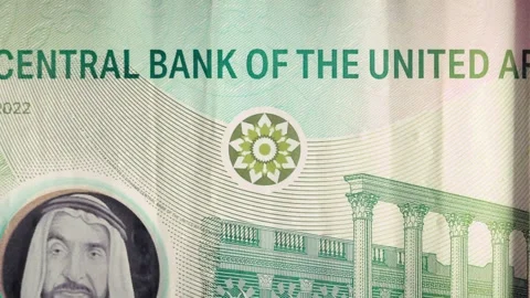 Currency Banknote Macro View of Paper Money with Intricate Security Patterns Vidéo 331100622