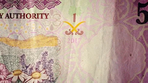 Currency Banknotes Showing Different Denominations &amp; Intricate Security Designs 库存影片 331100563