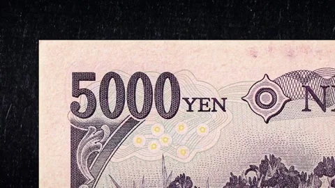 Currency Banknotes Showing Different Denominations and Floral Intricate Details 库存影片 331100673