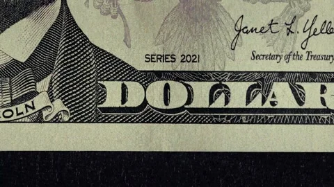 Currency Detail Featuring Architectural Engravings on Paper Money Bill Vidéo 331100611