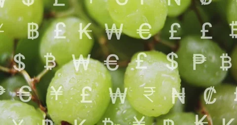 Currency-grid appearing over green grapes, overlay shifting and camera zooming Stock Footage 323336152