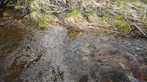 Current along the coast Stock Footage 130639942