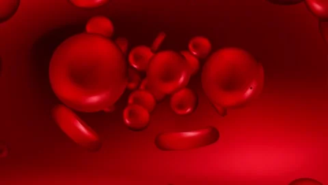 Blood Current Animation Stock Video Footage | Royalty Free Blood ...