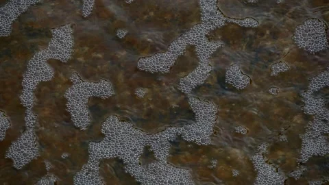 The current carries foamy water. Stock Footage 256089183