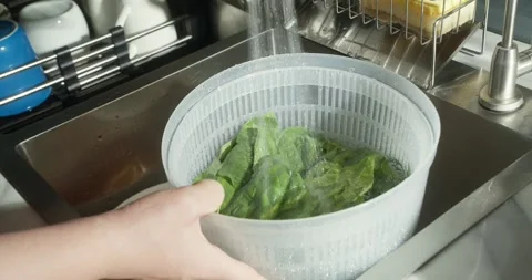 Current of clear tap water falling between green leaves of baby spinach in Stock Footage 317007123