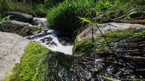 The current flow of water in the stream of a mountain river fall. Stock Footage 169938441