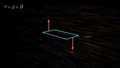 The current loop immersed in a magnetic field Stock Footage 333892824
