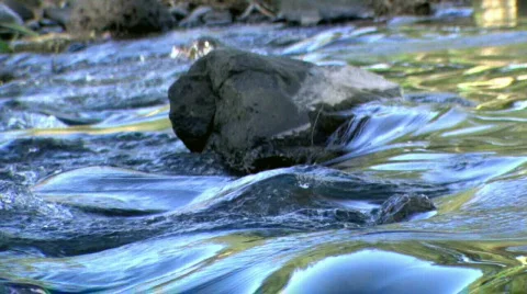 Current in Mountain Stream forms small Rapids 動画素材 139612