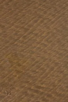 Current ripple marks in the sand Stock Photos