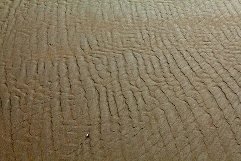 Current ripple marks in the sand Stock Photos