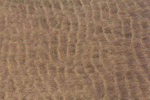 Current ripple marks in the sand 库存照片