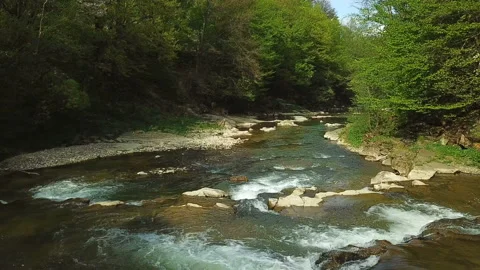 The current river among the Carpathian mountains. Stock Footage 102124245