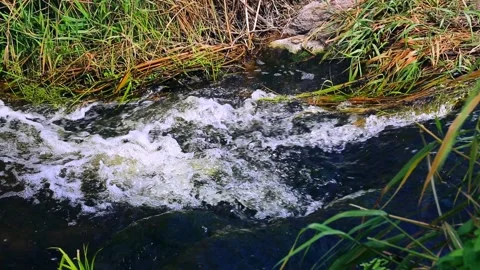 Current in the river bubbling stream of water in the riverbed. Stock Footage 157656448