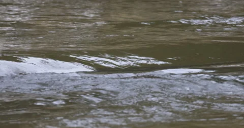 Current of the river, close-up, 4K Stock Footage 228879616