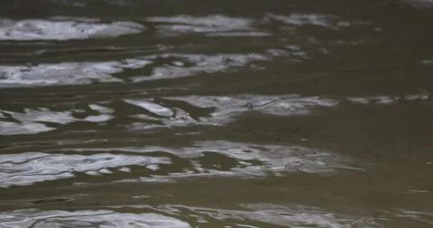 Current on the river, close-up, 4K slomo Stock Footage 228879620