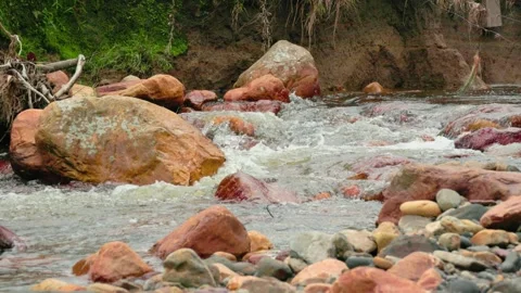 The current of a river flowing over rocks and stones Stock Footage 335892202