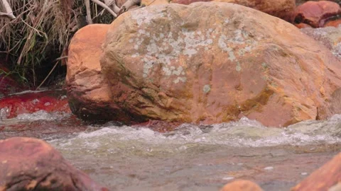 The current of a river flowing over rocks and stones Stock Footage 335893434