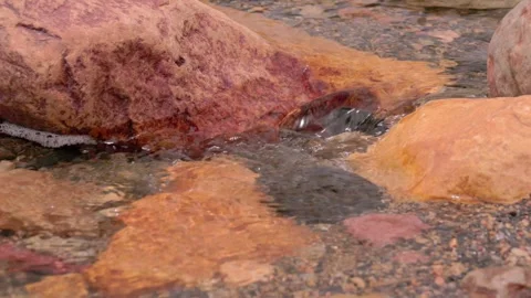 The current of a river flowing over rocks and stones Stock Footage 335893477