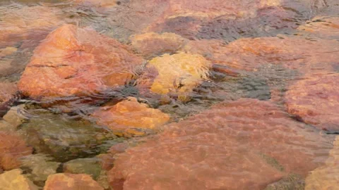 The current of a river flowing over rocks and stones Stock Footage 335895752