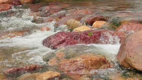 The current of a river flowing over rocks and stones Stock Footage 335895756