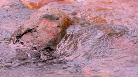 The current of a river flowing over rocks and stones Stock Footage 335896358