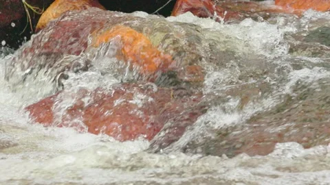 The current of a river flowing over rocks and stones Stock Footage 335897468
