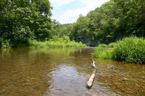 The Current River flowing through lush greenery Foto stock