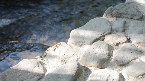 The current river Stock Footage 94845381