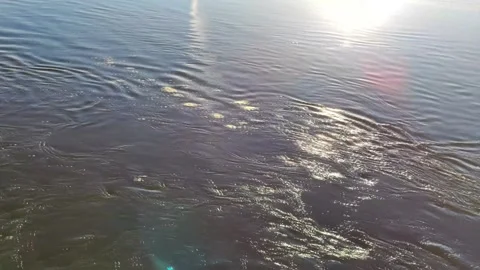 Current on the river Stock Footage 276211941