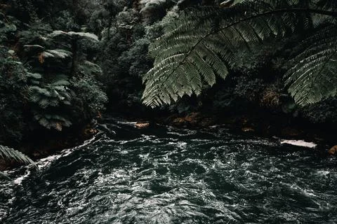 Current of the river that goes down with great force through the dense Stock Photos