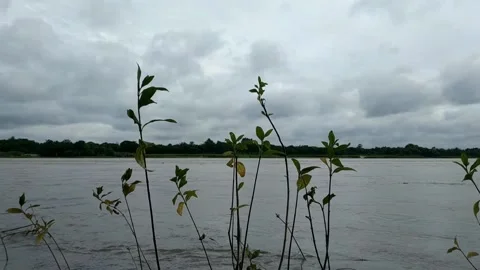 The current of the river of gorai Stock Footage 138948884