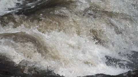 Current in a river at high water. Stock Footage 154119496
